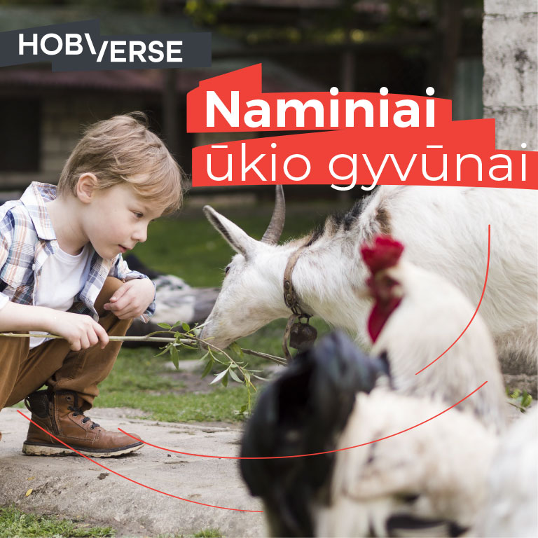 HOBIVERSE Edukacijos klasėms naminiai gyvūnai